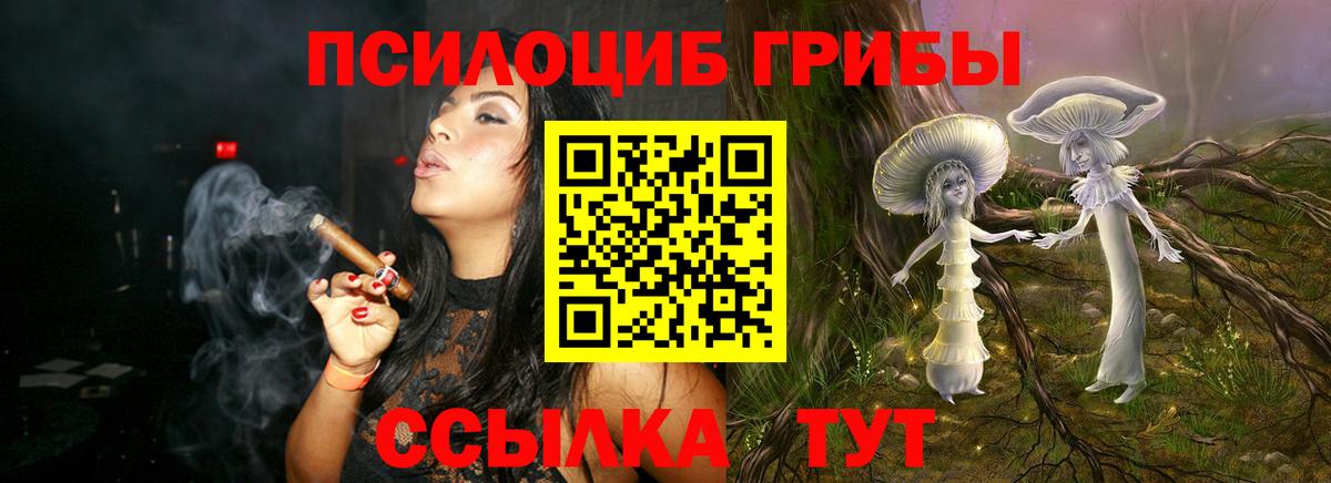 Анапа  Псилоцибиновые грибы мухоморы  Вход с VPN 